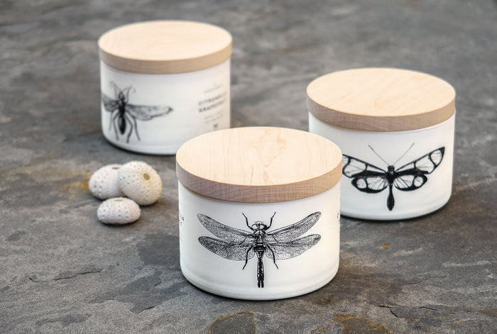 Citronella Sea Salt Triple-Wick Candle