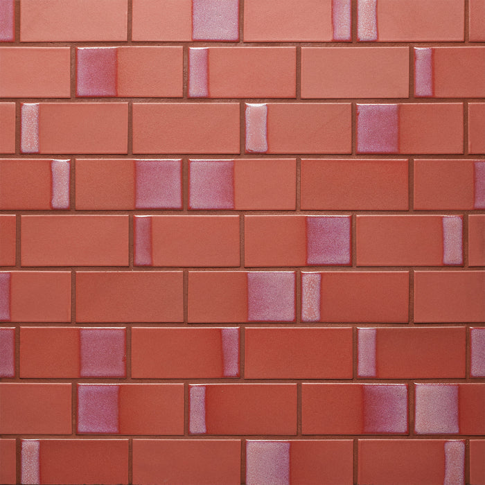 Caption: Dual Glaze 2x4 in DG15 Zinnia Blend.