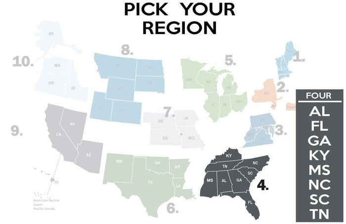 FEMA REGION FOUR - accent mug