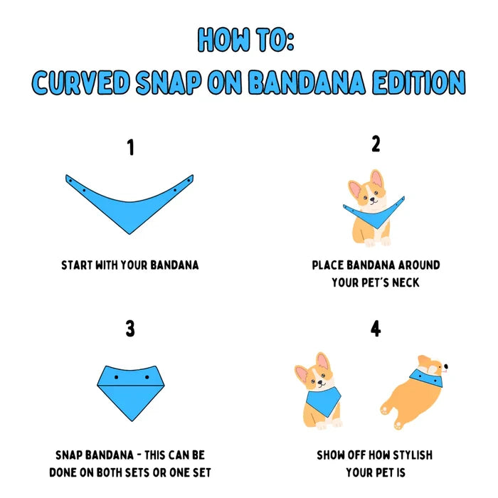 Pretty Little Pumpkins - Bandana (Reversible)