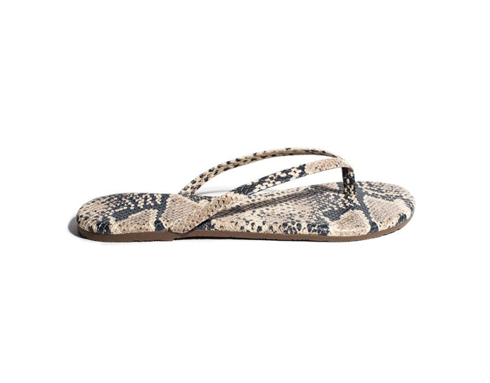 Studio Exotic in Sandsnake