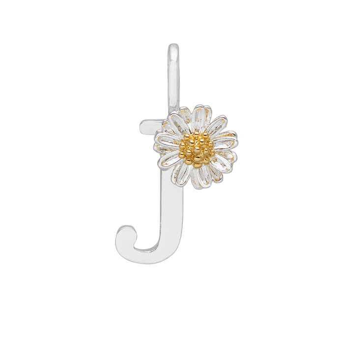 customiser-image