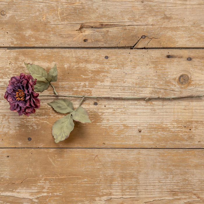 16" DRIED PURPLE WILD ROSE SPRAY