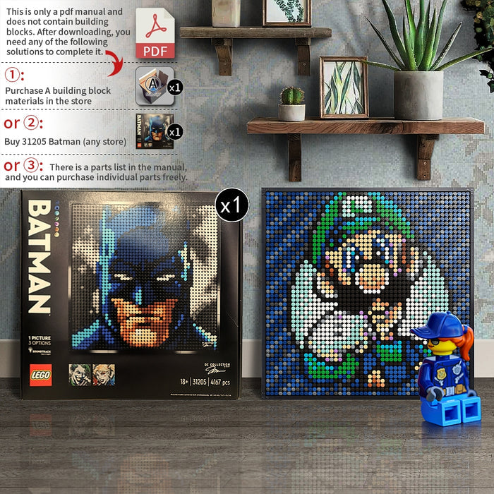 31205-Luigi