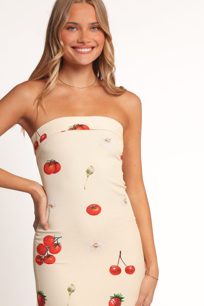 Petal and Pup USA DRESSES Adela Maxi Dress - Tomato Print