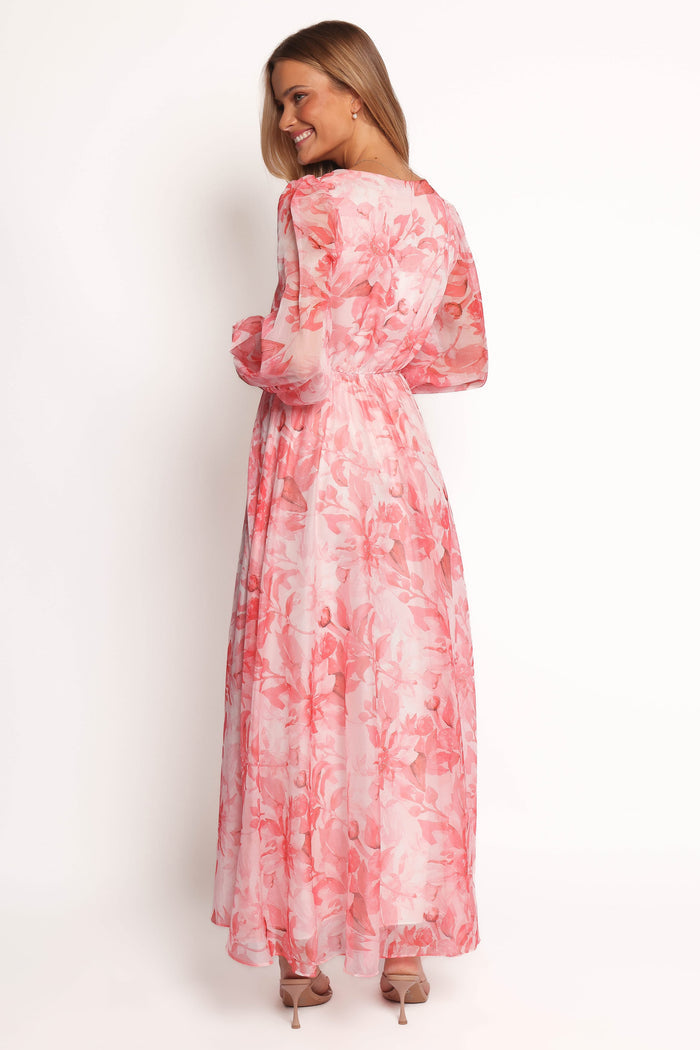 Petal and Pup USA DRESSES Anisa Maxi Dress - Pink Floral