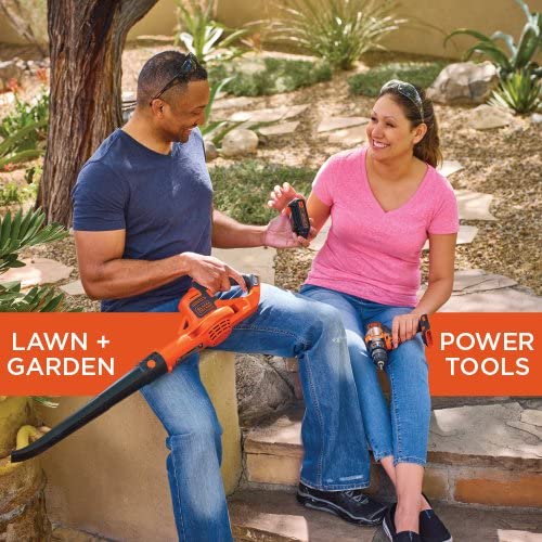 BLACK+DECKER 20V MAX 1.5 Ah Lithium Ion Battery - LBXR20