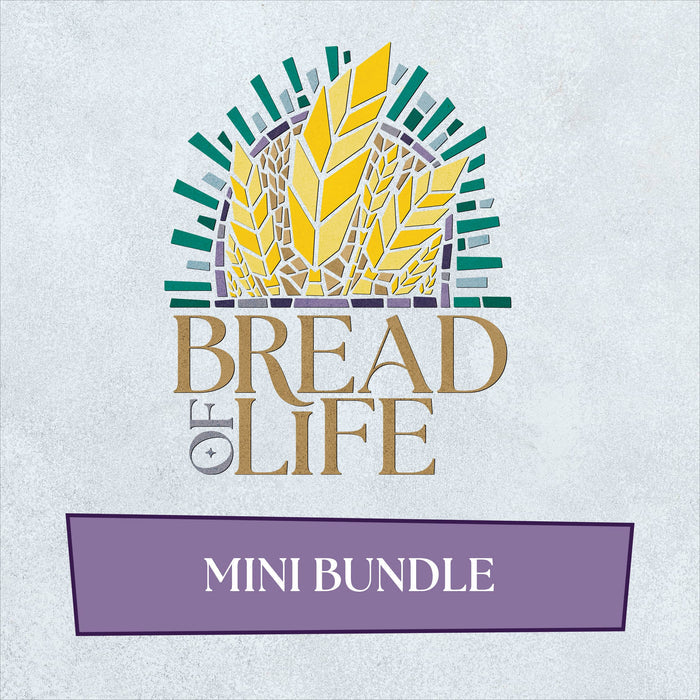 101–500 members / Mini Bundle