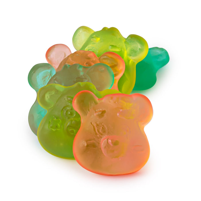 Care Bears Character Gummy Candy - 1 LB