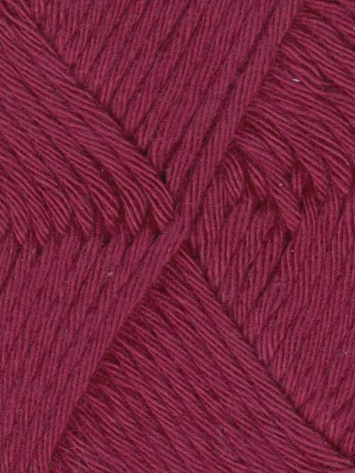 2008 - Cranberry