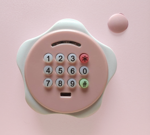 Digital Safe Box-Metal/Pink