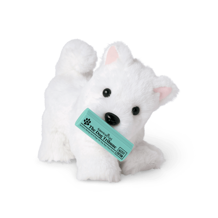 Dog Lover Basket