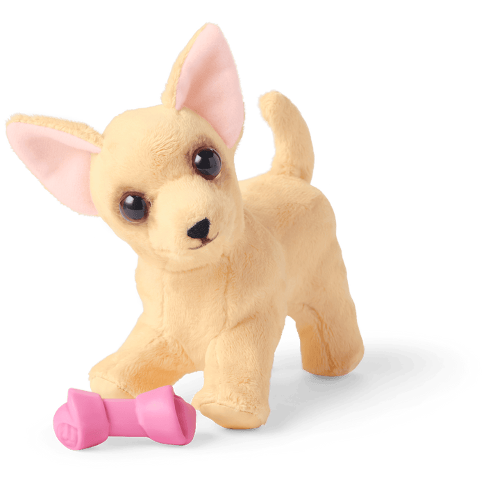 Dog Lover Basket