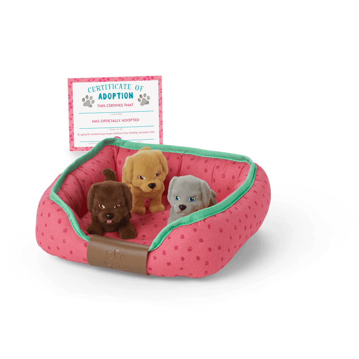Dog Lover Basket