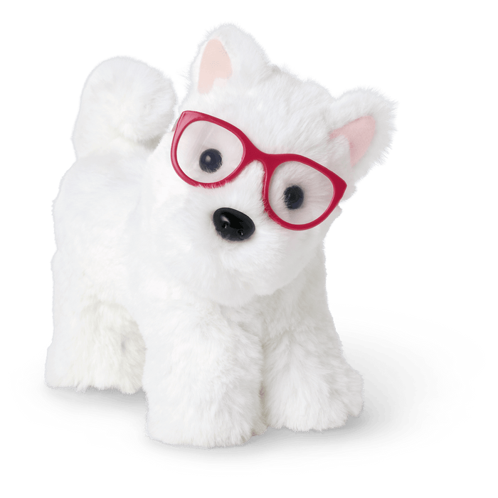 Fancy Pet Fashion Accessories