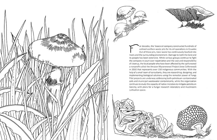 Fantastic Fungi: The Coloring Book