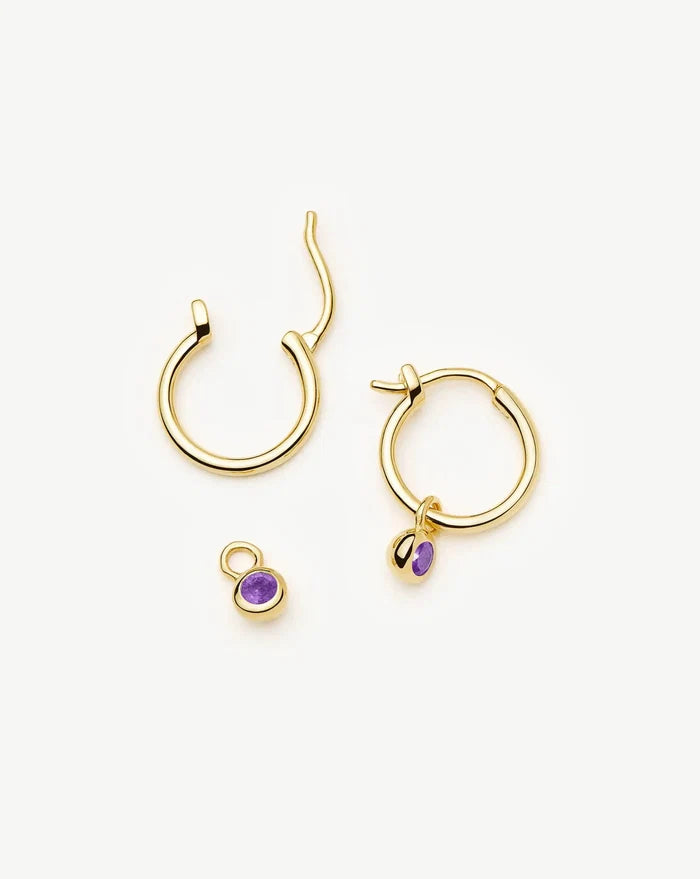 February Birthstone Mini Charm Hoop Earrings | 18k Gold Vermeil/Amethyst Earrings Missoma