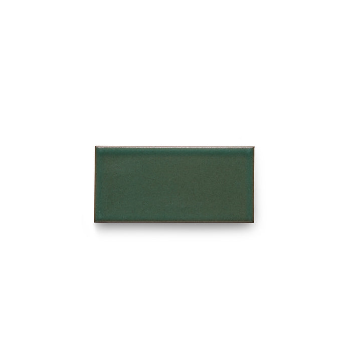 G116 Sample in Geyser Green