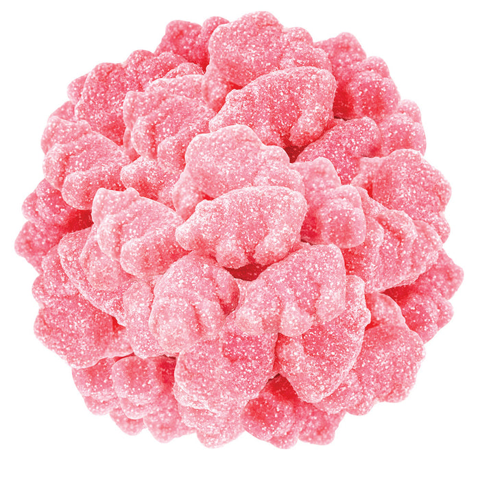 Gerrit Verburg Sour Gummy Piglets Candy - 4.4 LB