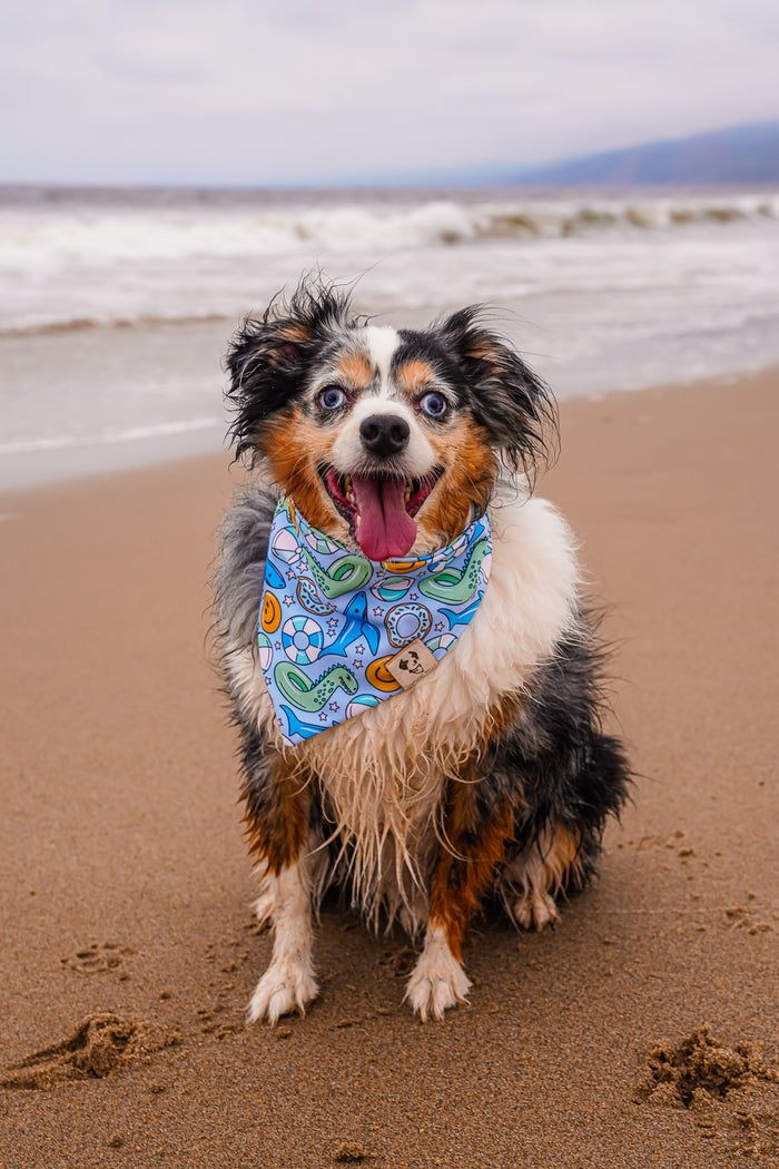 Go With The Float - Active Snap On Bandana