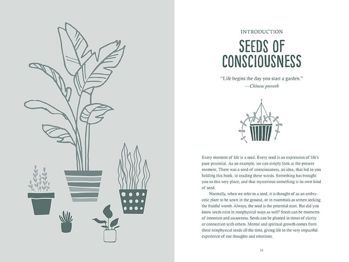 Growing Consciousness