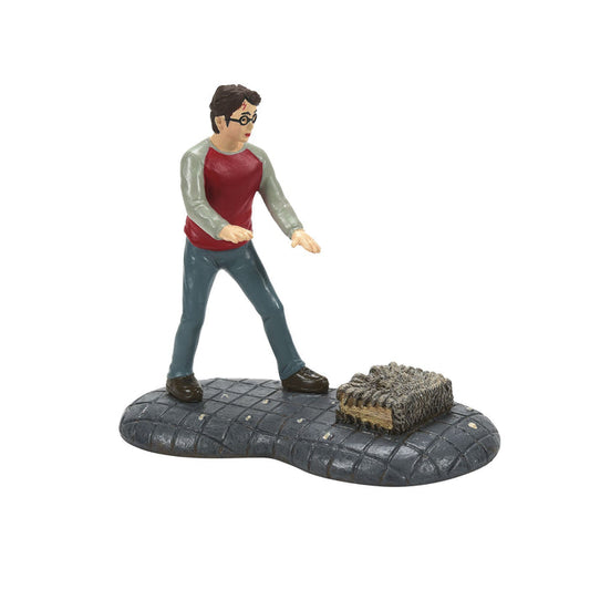 Harry Potter Village | Harry & His Monster Book | Village Figures