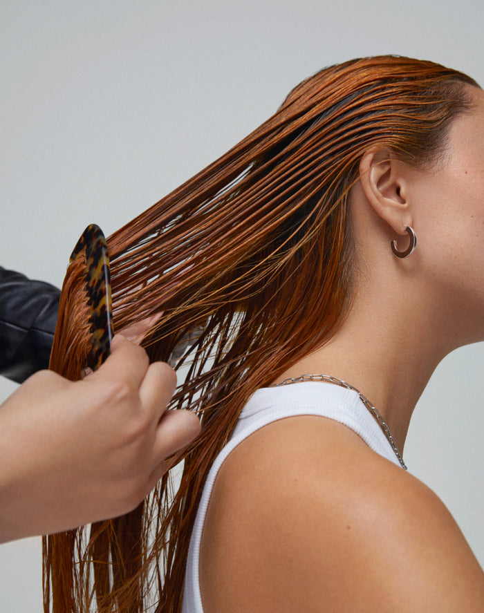 Healthy Hair 3-Step System Starter Kit