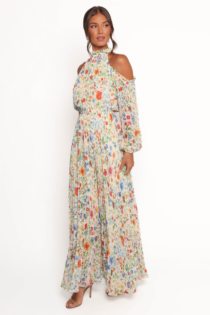 Petal and Pup USA DRESSES Hilary Pleated Maxi Dress - Garden Floral