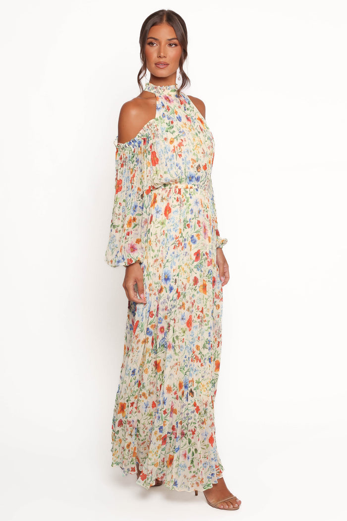 Petal and Pup USA DRESSES Hilary Pleated Maxi Dress - Garden Floral