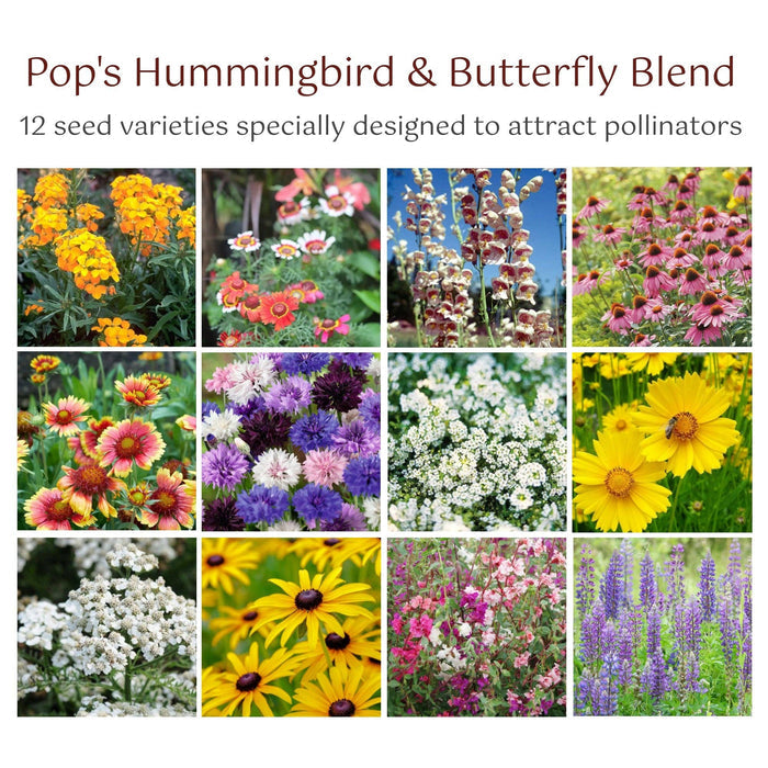 Hummingbird & Butterfly Pollinator Wildflower Seed Mix
