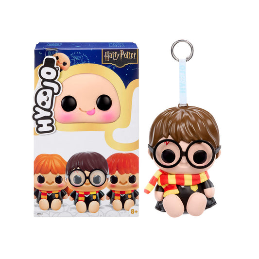 Hyojo keychain and packaging featuring a character from Harry Potter on a white background