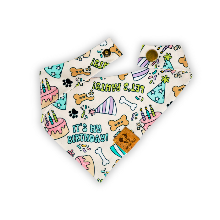 Let's Pawty - Single Snap Bandana