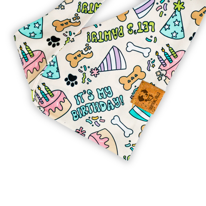 Let's Pawty - Single Snap Bandana