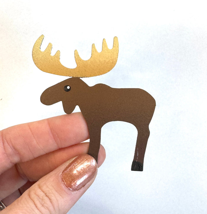 Moose Magnet, Single