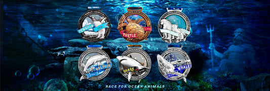 Ocean Animals Virtual Race Series