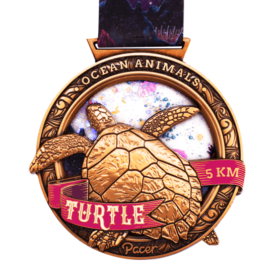 Turtle 5K