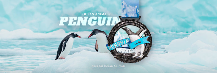 Ocean Animals Virtual Race Series