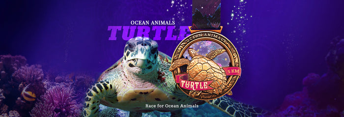 Ocean Animals Virtual Race Series