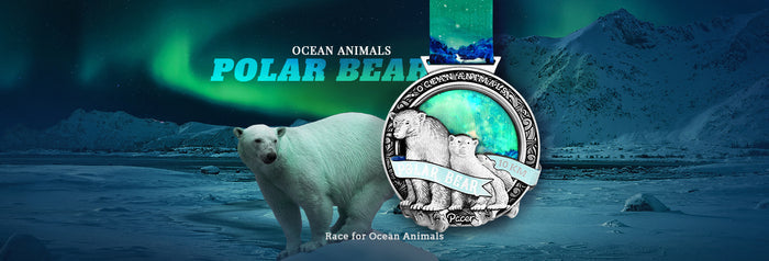 Ocean Animals Virtual Race Series