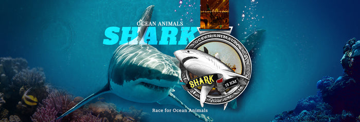 Ocean Animals Virtual Race Series