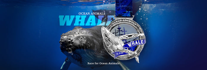 Ocean Animals Virtual Race Series
