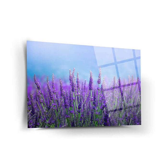 Ode Plant Wall Decor - Artwork available at Dekadron for $99.90
