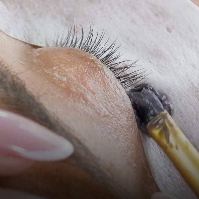 Online Lift, Lamination, Tint & Wax Course with Kit