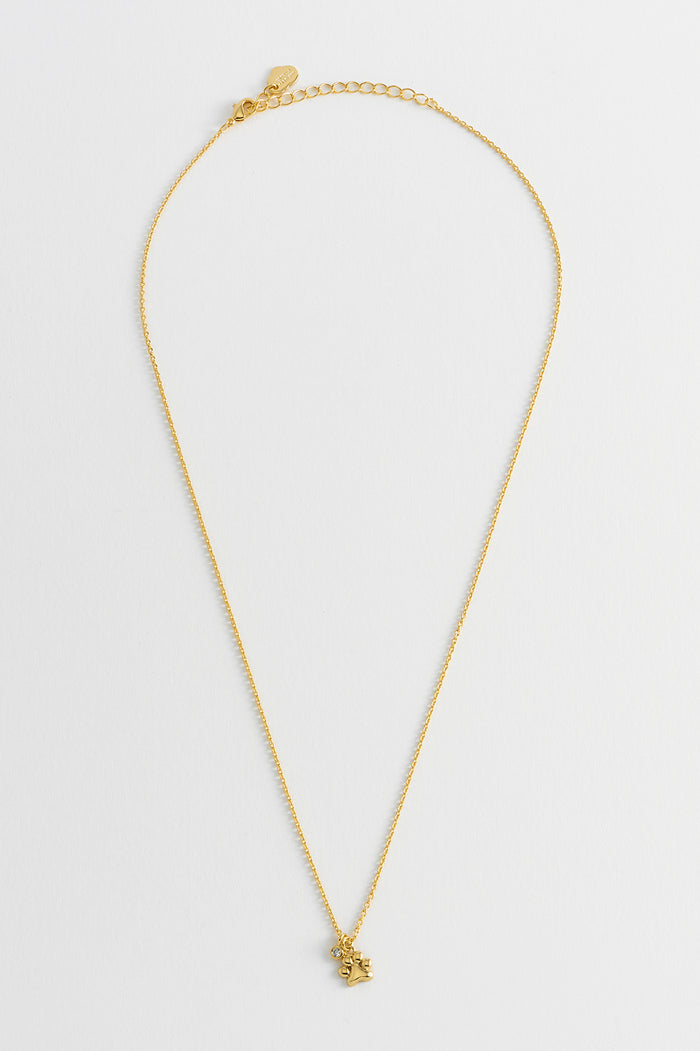 Paw Charm Necklace