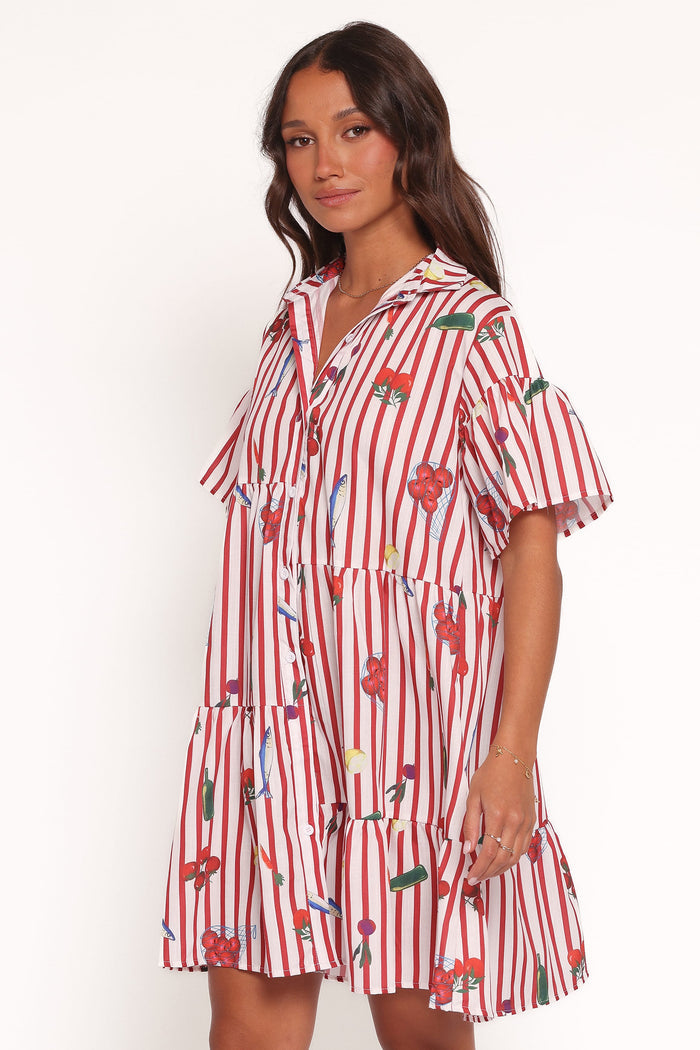 Petal and Pup USA DRESSES Peachy Mini Dress - Red Picnic Stripe