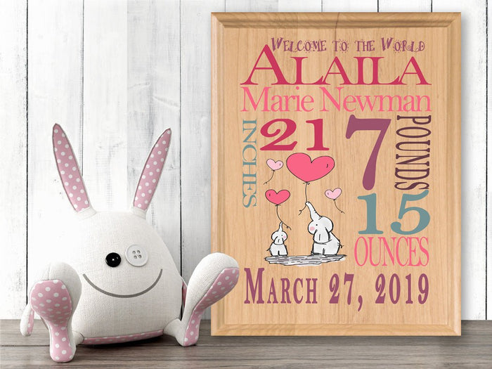New Baby Girl Gift Idea