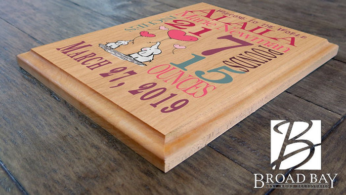 Personalized New Baby Girl Gift Wall Art Nursery Decor for Newborn - Broad Bay Personalized Gifts Shipped Fast