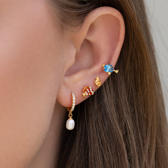 Pixar Finding Nemo Dory Studs