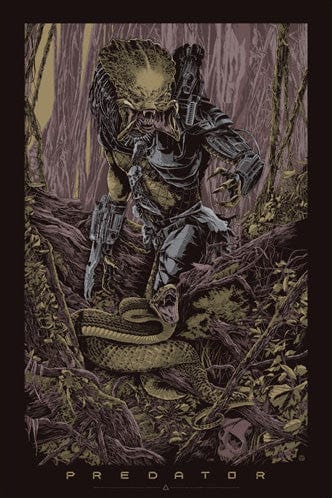 Predator