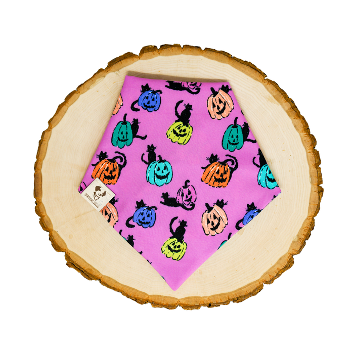 Pretty Little Pumpkins - Bandana (Reversible)